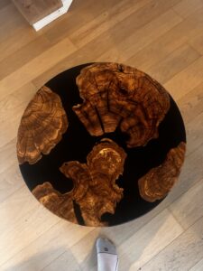 Arcapellaco Round Table 2