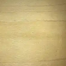 Bøg
